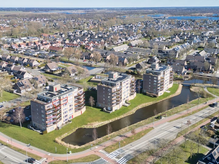 Foto 2 van Smeetsmastins 40