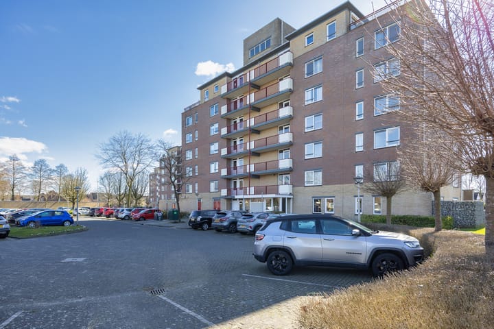 Foto 6 van Smeetsmastins 40