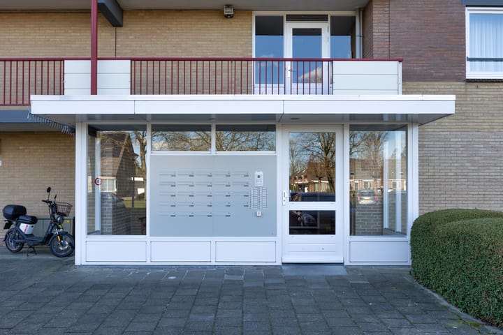 Foto 7 van Smeetsmastins 40