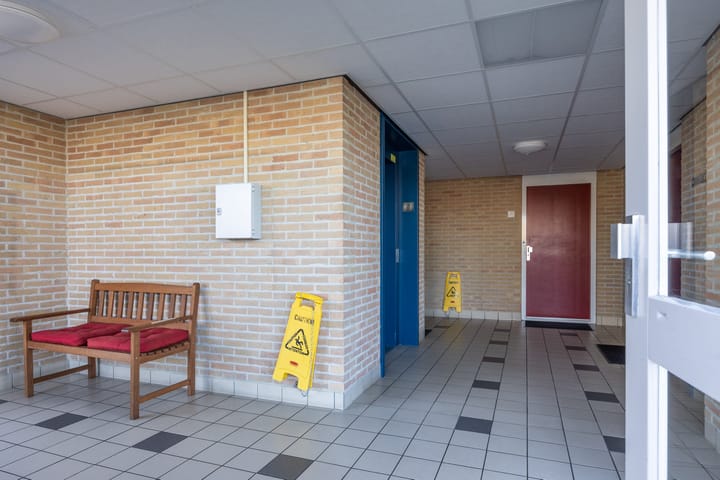 Foto 8 van Smeetsmastins 40