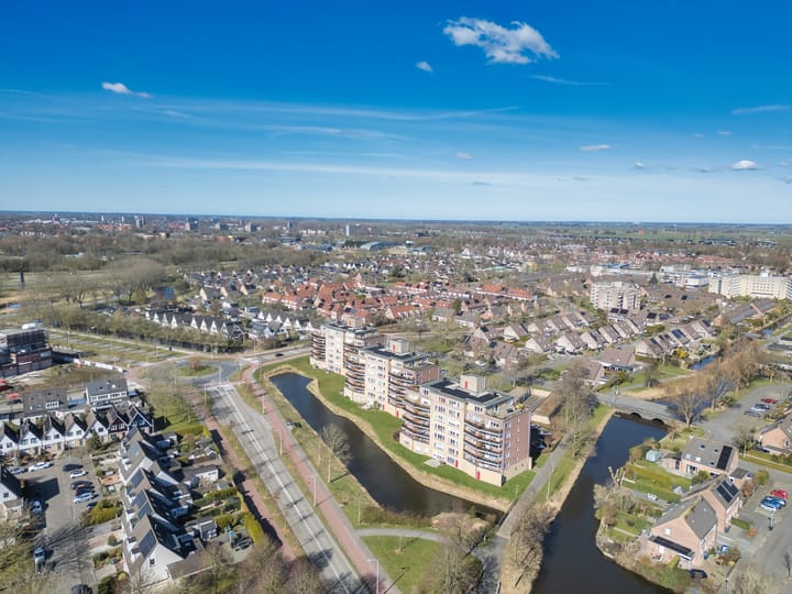 Foto 5 van Smeetsmastins 40