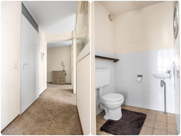 Foto 10 van Smeetsmastins 40