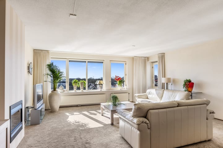 Foto 11 van Smeetsmastins 40