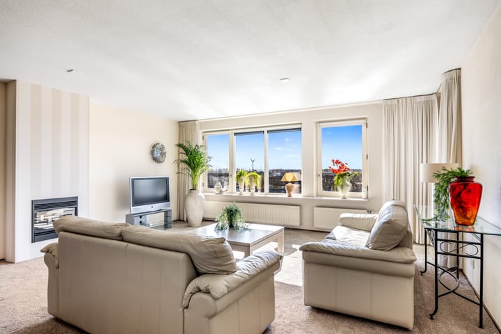 Foto 12 van Smeetsmastins 40