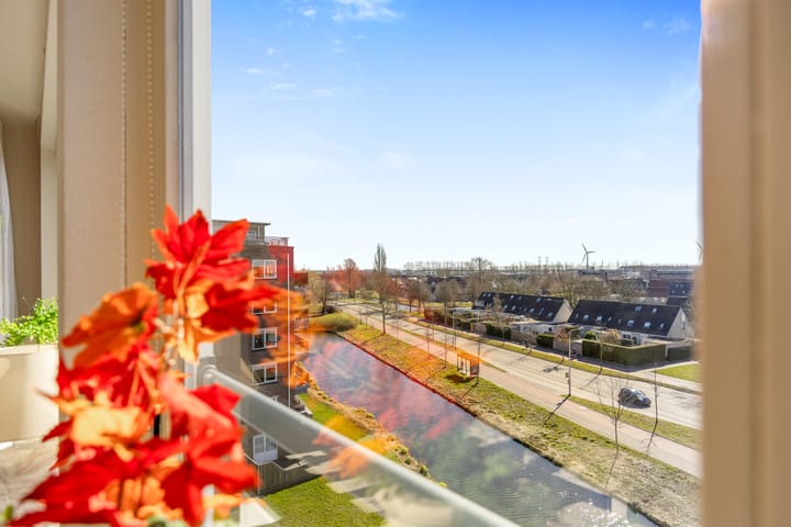 Foto 14 van Smeetsmastins 40