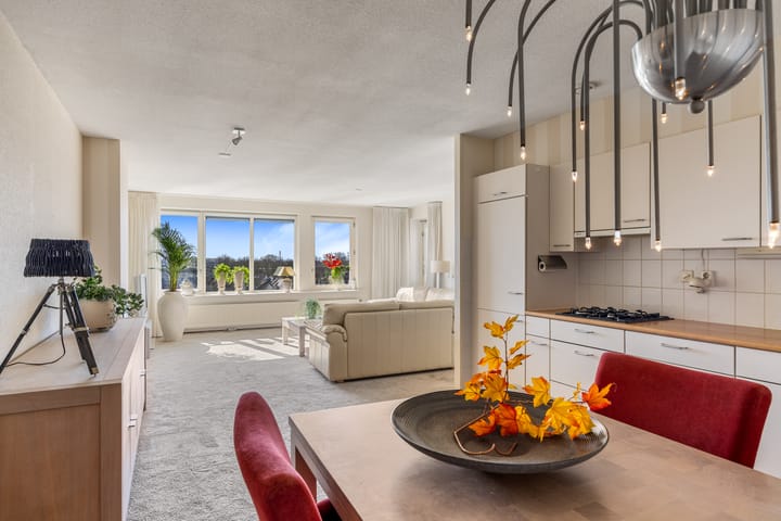 Foto 15 van Smeetsmastins 40