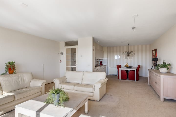 Foto 16 van Smeetsmastins 40