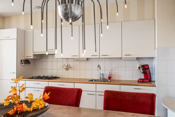 Foto 18 van Smeetsmastins 40