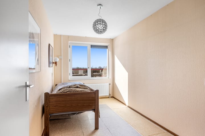 Foto 19 van Smeetsmastins 40