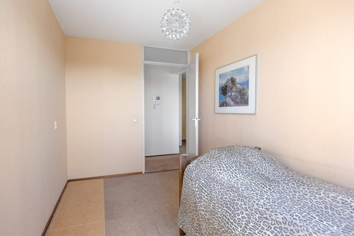 Foto 20 van Smeetsmastins 40