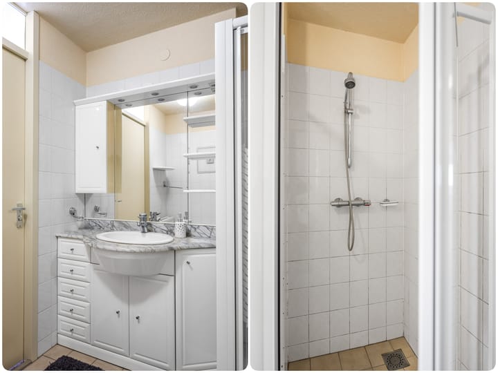 Foto 22 van Smeetsmastins 40