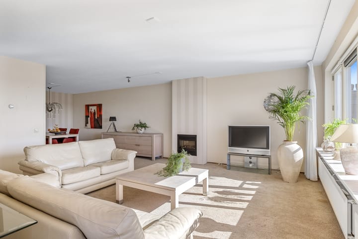 Foto 13 van Smeetsmastins 40