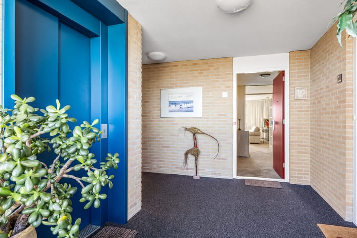 Foto 9 van Smeetsmastins 40