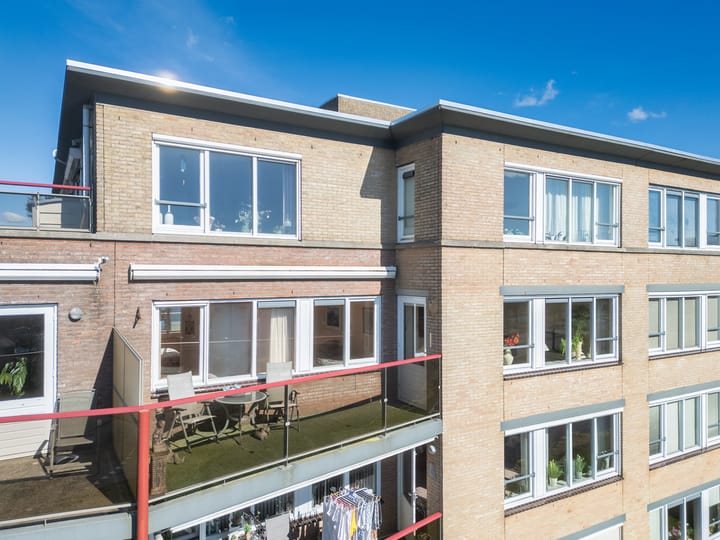 Foto 26 van Smeetsmastins 40