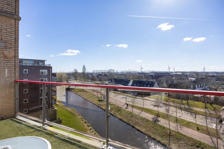 Foto 29 van Smeetsmastins 40