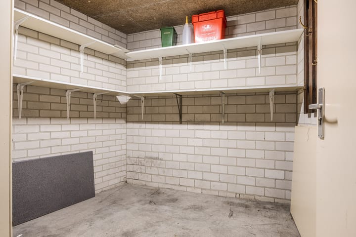 Foto 30 van Smeetsmastins 40