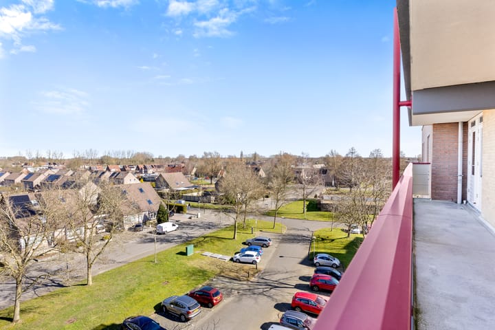 Foto 31 van Smeetsmastins 40