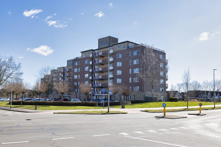 Foto 34 van Smeetsmastins 40