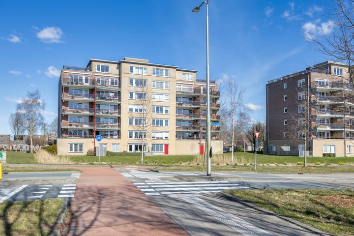 Foto 37 van Smeetsmastins 40