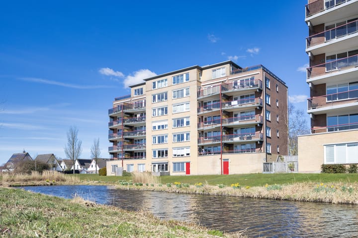 Foto 39 van Smeetsmastins 40