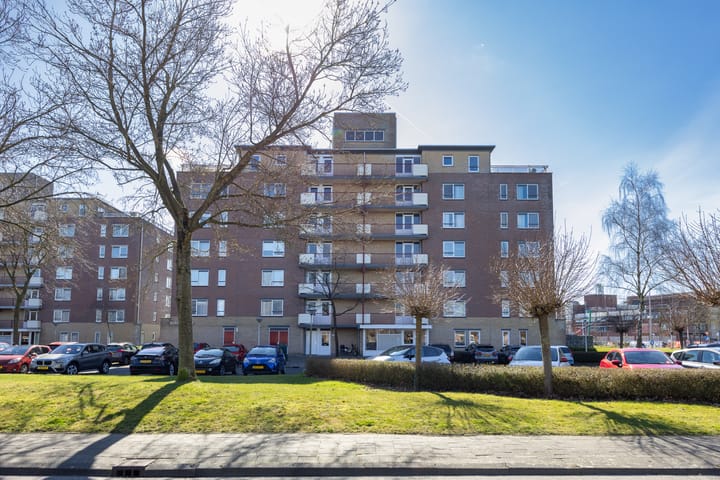 Foto 40 van Smeetsmastins 40