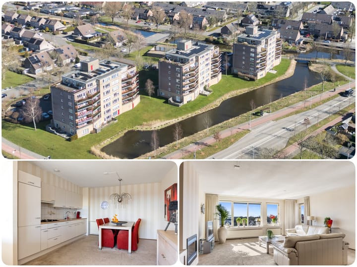 Foto 41 van Smeetsmastins 40