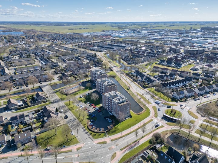 Foto 32 van Smeetsmastins 40