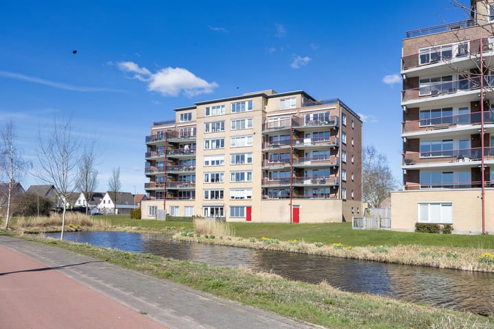 Foto 38 van Smeetsmastins 40