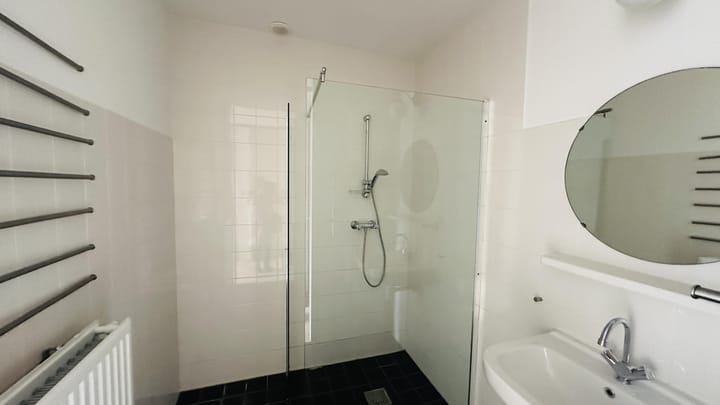 Foto 6 van Palmyraplaats 182