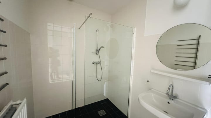 Foto 7 van Palmyraplaats 182