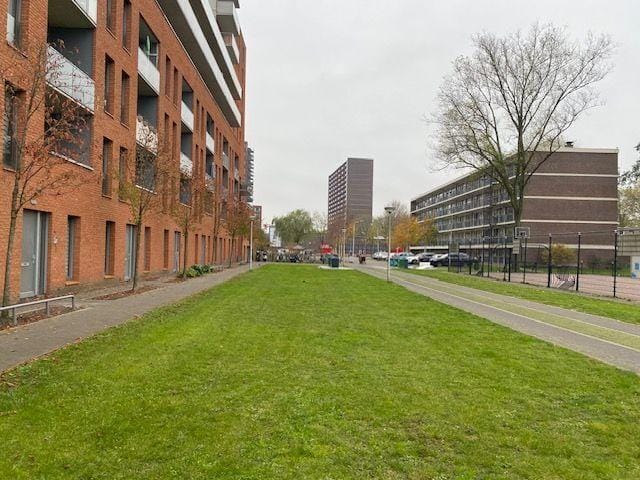 Foto 17 van Palmyraplaats 182