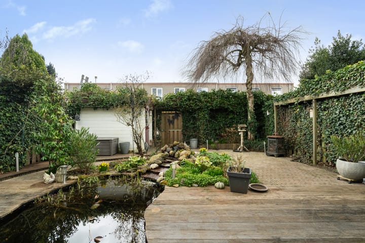 Foto 31 van Jan Steenhage 5