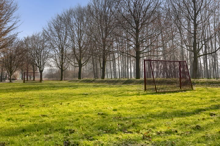 Foto 35 van Jan Steenhage 5