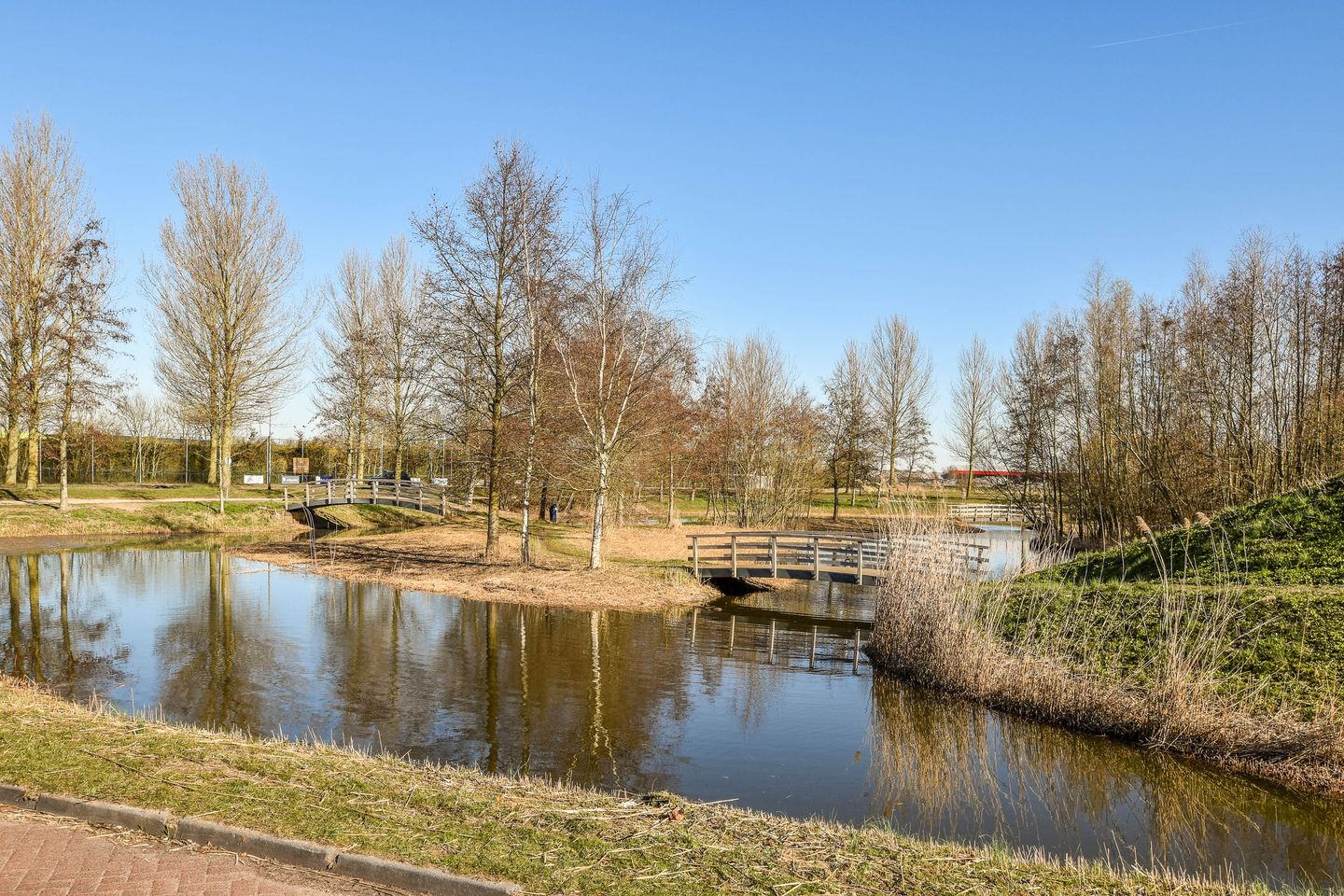 Foto 20 van Vogellaan 136