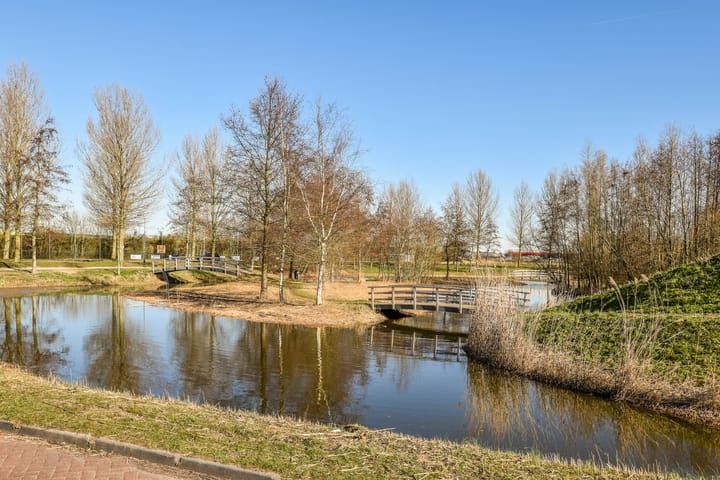 Foto 20 van Vogellaan 136