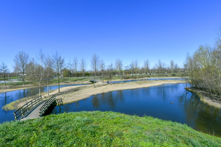 Foto 22 van Vogellaan 136