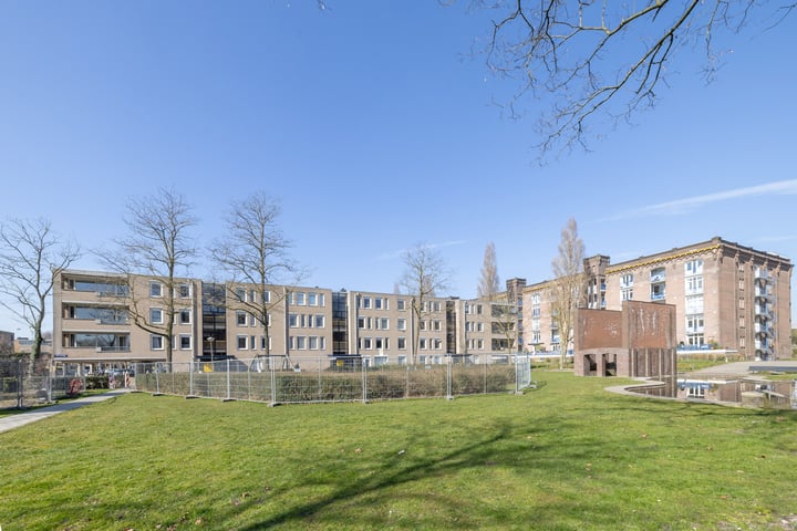 Hildo Kropplein 59