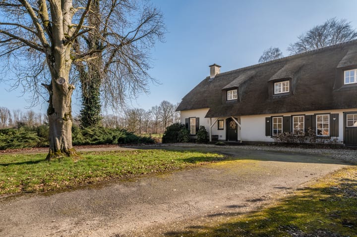 Foto 6 van Blijhamsterweg 81