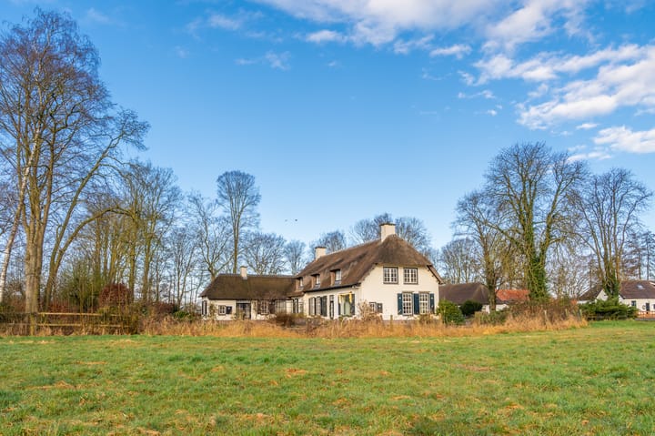 Foto 81 van Blijhamsterweg 81