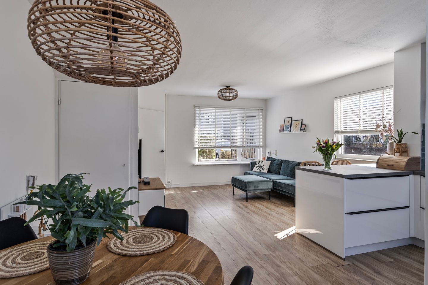 Foto 5 van de Roos 18