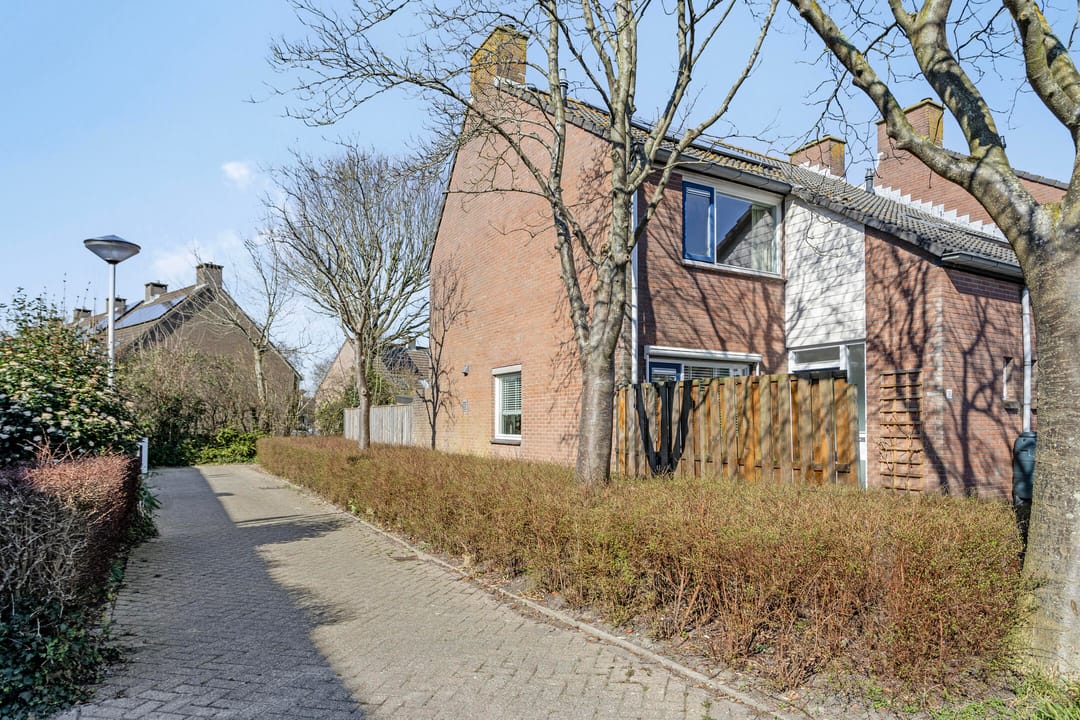 Foto 23 van de Roos 18