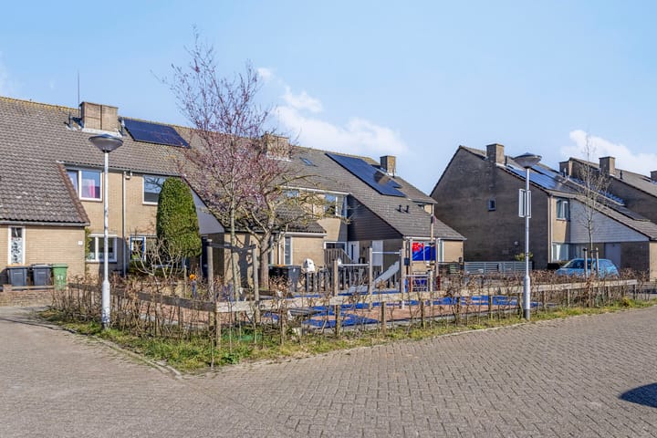 Foto 24 van de Roos 18