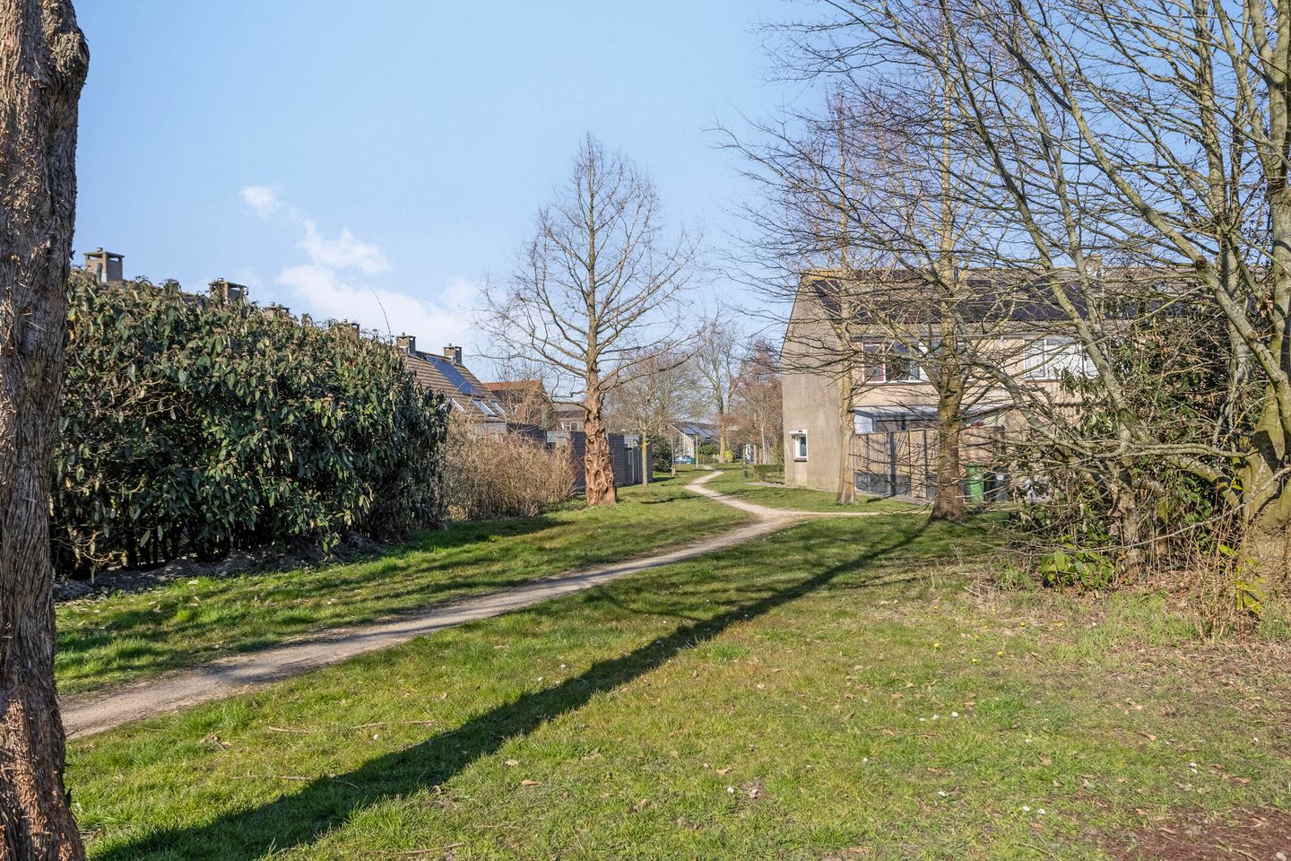 Foto 25 van de Roos 18