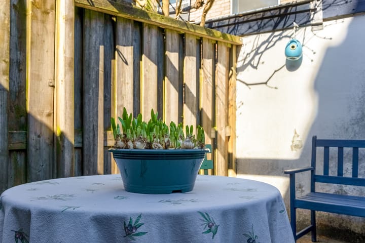 Foto 38 van Bollenhofsestraat 96