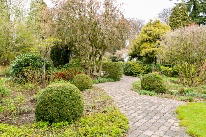 Foto 30 van Rozenbos 3-A