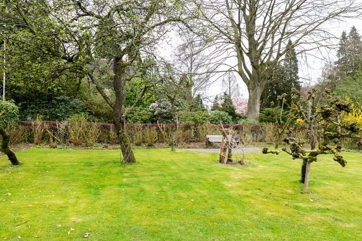 Foto 33 van Rozenbos 3-A