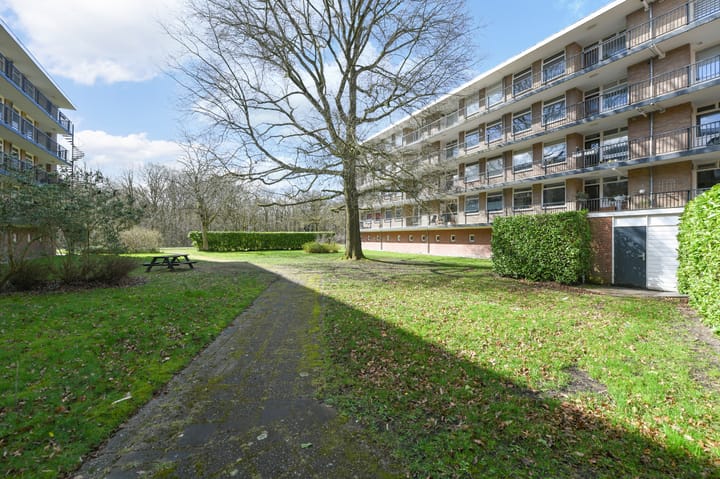 Foto 20 van Banckertlaan 153