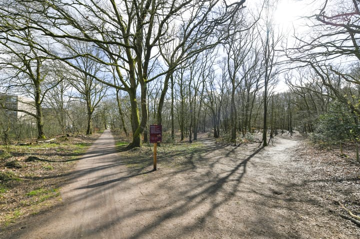 Foto 23 van Banckertlaan 153