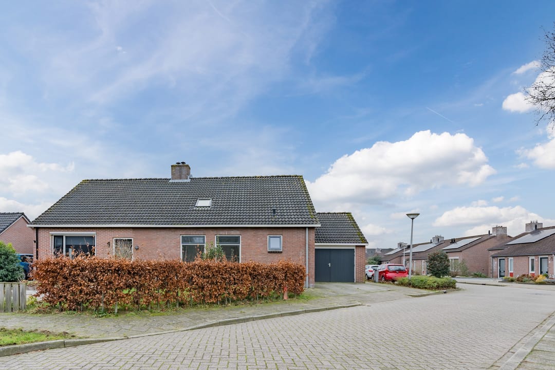 Foto 2 van Kamille 3