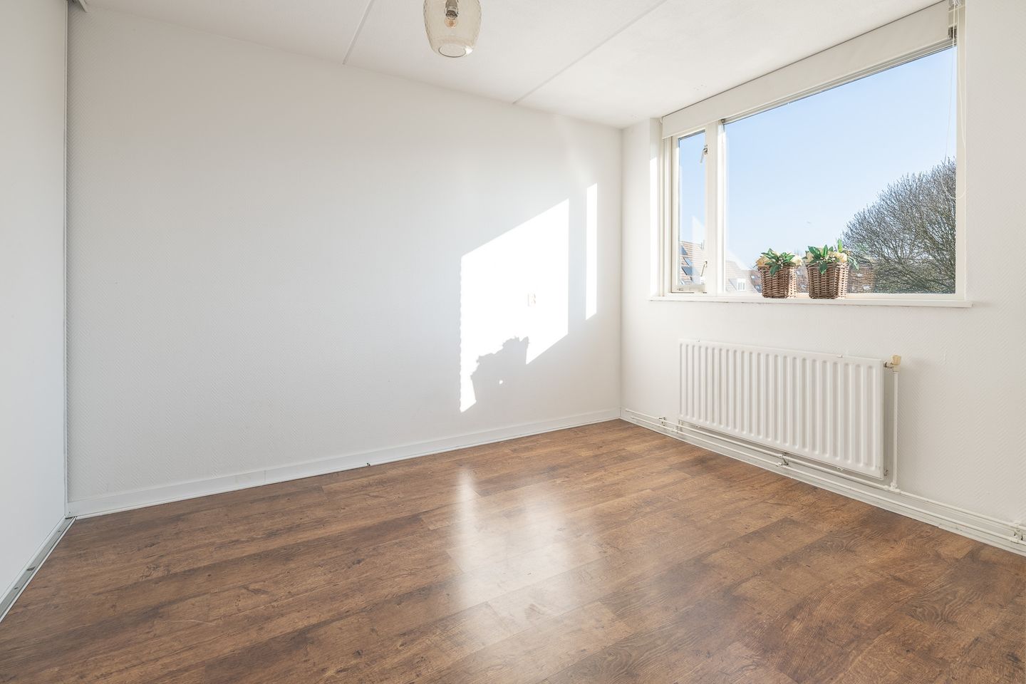 Foto 19 van Houtwal 22